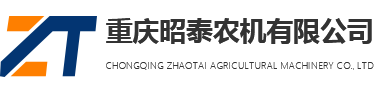 重慶蜜桃视频APP色版网站